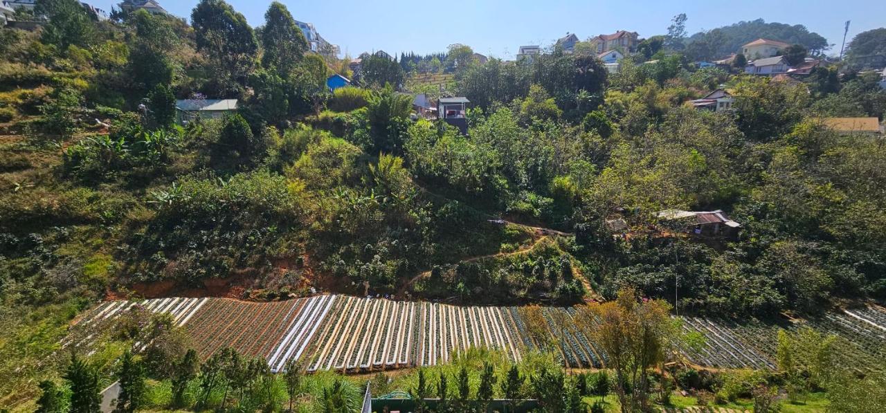 The New House Daire Da Lat Dış mekan fotoğraf